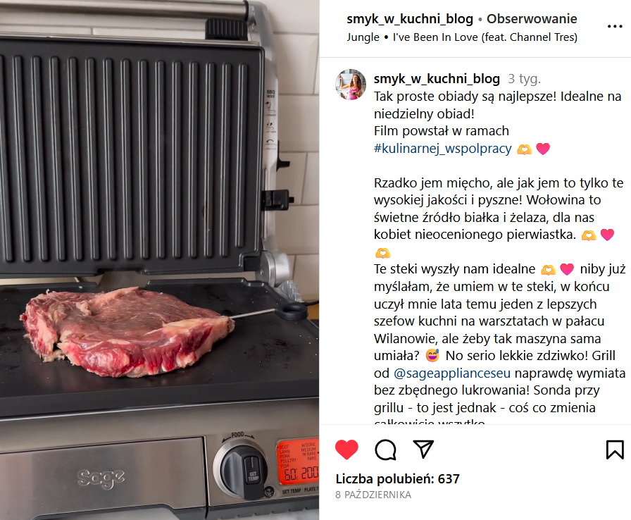 Sage grill product test by a food creator